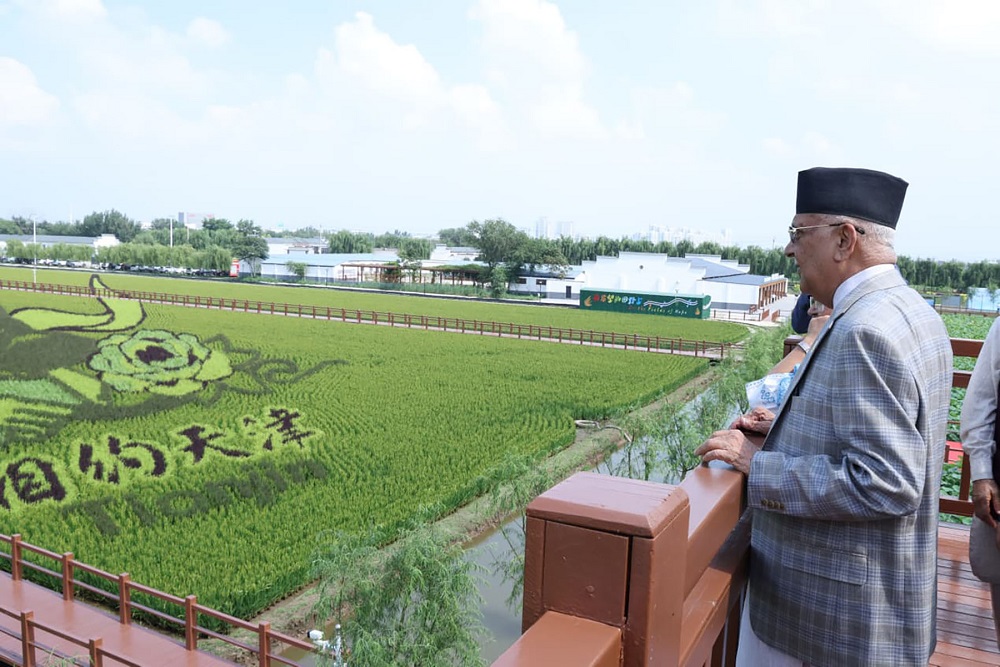 चीनमा धान उत्पादन क्षेत्रको अवलोकनबाट प्रधानमन्त्री ओलीले केही सिकाउलान ?