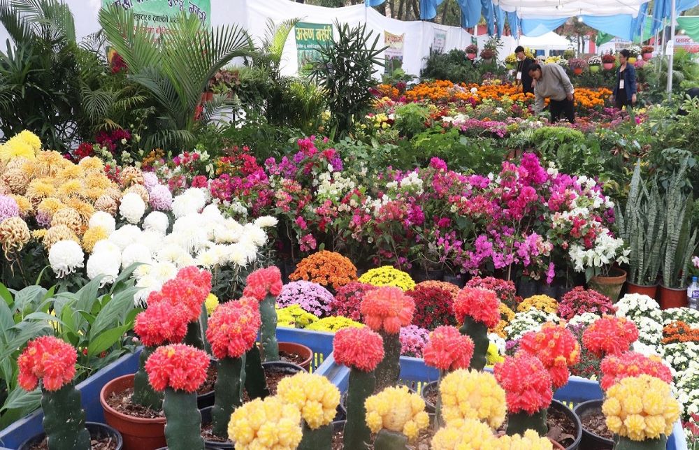 नर्सरी व्यवसाय प्रवर्द्धनका लागी तिहार फ्लोरा एक्स्पो आयोजना हुँदै