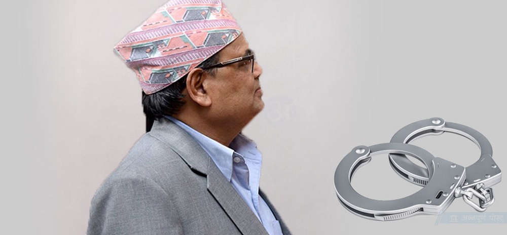 भेपमा सुन लुकाएर ल्याइएको मुद्दामा कृष्णबहादुर महरा पक्राउ