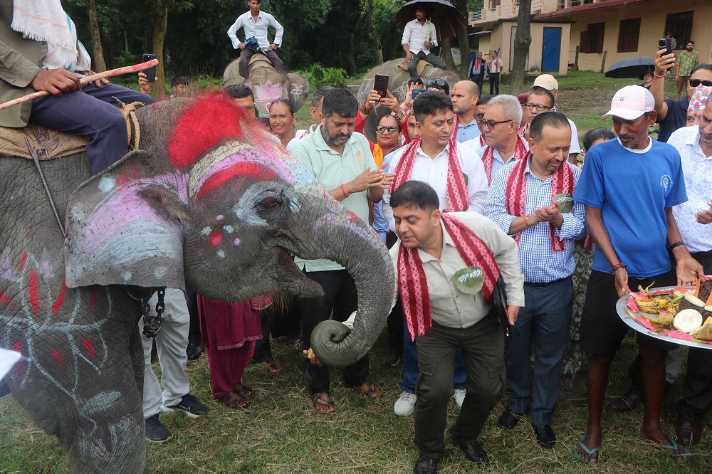 पुस ११ देखि चितवनमा १९ औं हात्ती तथा पर्यटन महोत्सव हुने